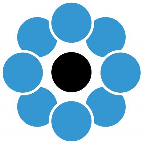 COIM group exhibitions 2019